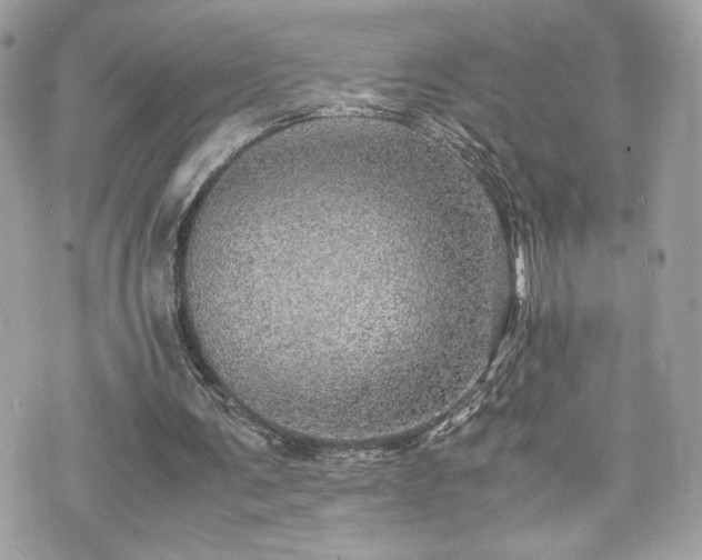 X0000070410291200606161418