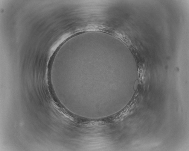 X0000070410292200606161418