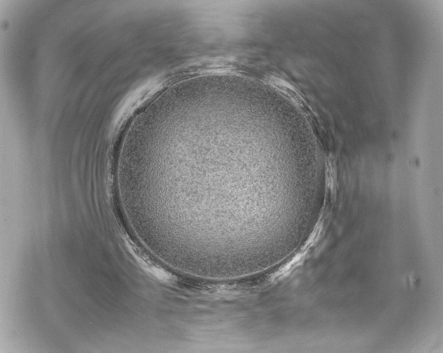 X0000070410293200606161418