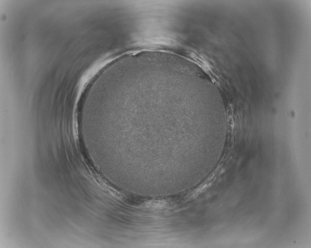 X0000070410294200606161418