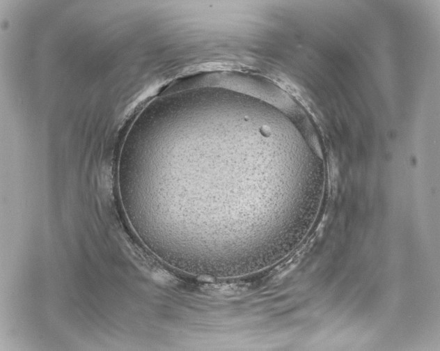 X0000070410297200606161418