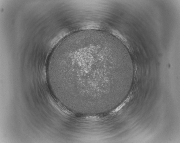 X0000070410298200606161418