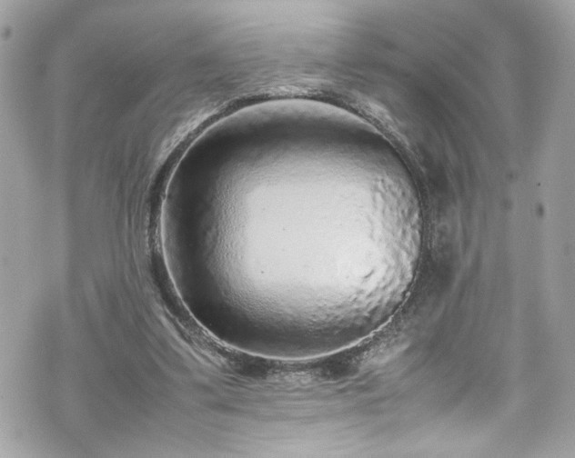 X0000070410299200606161418