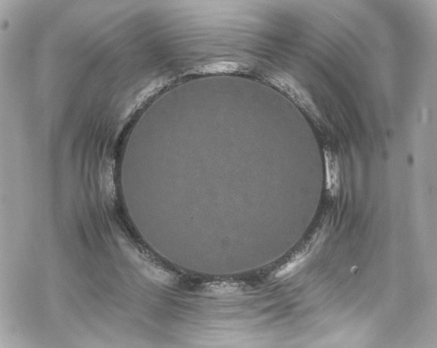 X0000070410300200606161418