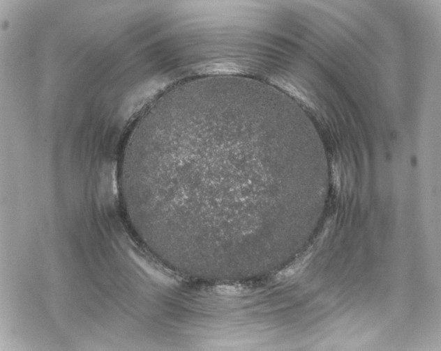 X0000070410302200606161418