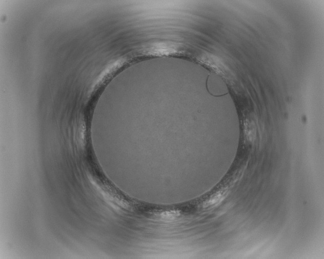 X0000070410304200606161418