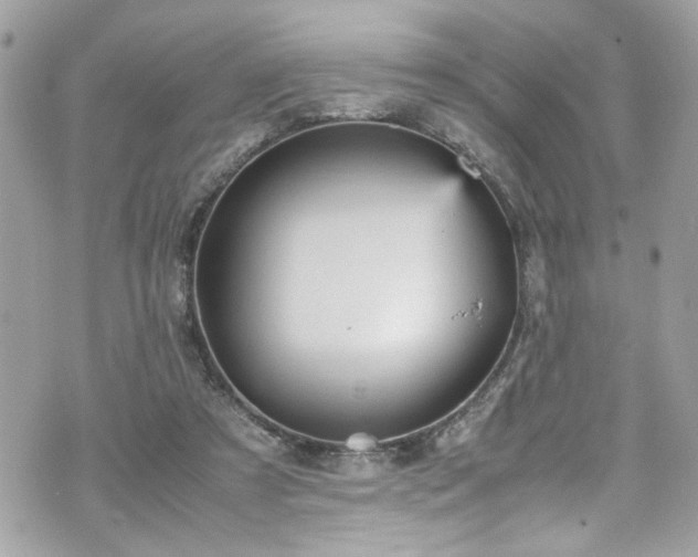 X0000070410305200606161418