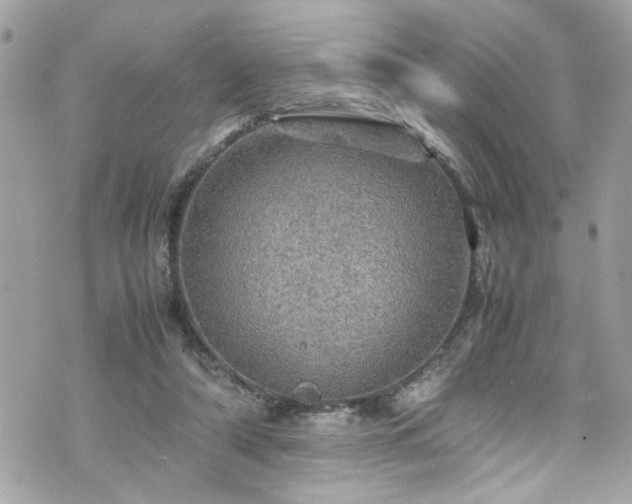 X0000070410306200606161418