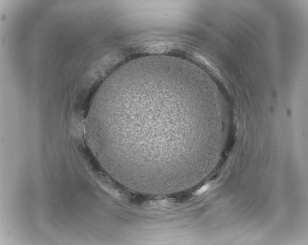 X0000070410307200606161418