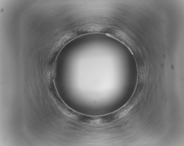 X0000070410309200606161418