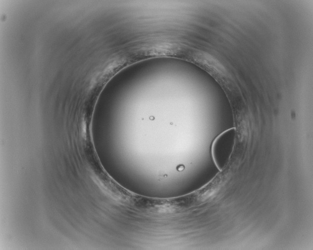 X0000070410310200606161418