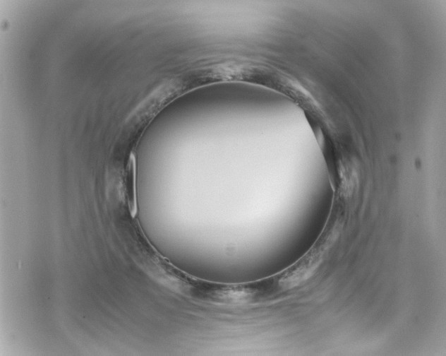 X0000070410313200606161418