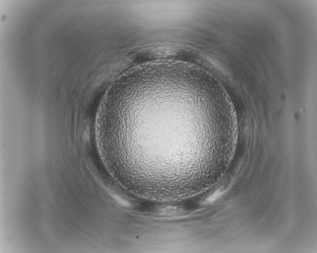 X0000070410315200606161418