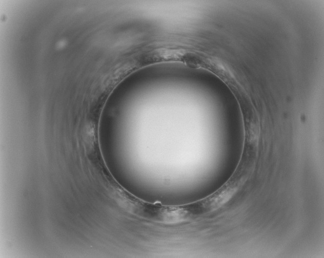 X0000070410321200606161418