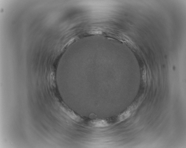 X0000070410322200606161418