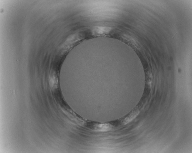 X0000070410324200606161418