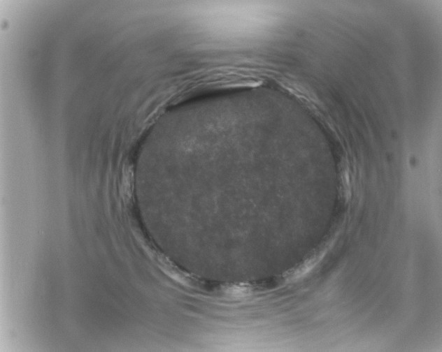 X0000070410325200606161418