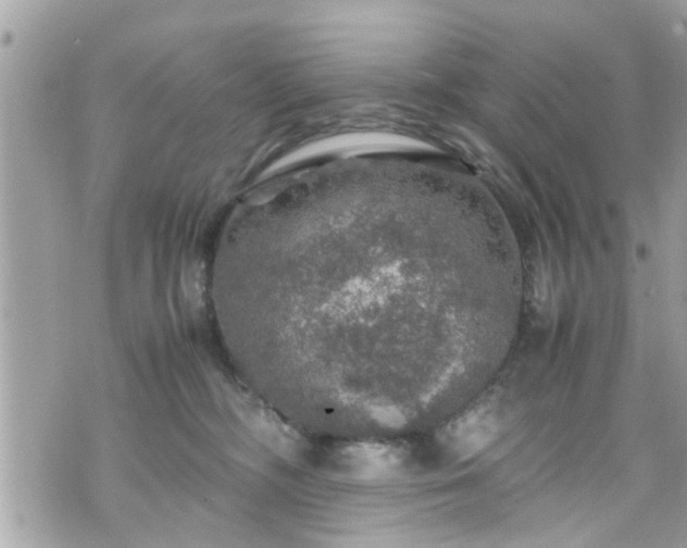 X0000070410326200606161418