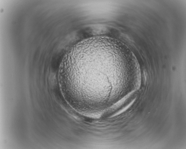 X0000070410327200606161418