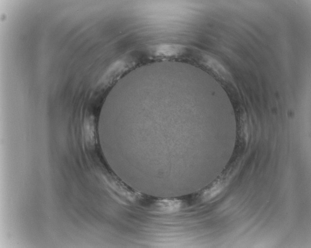 X0000070410328200606161418