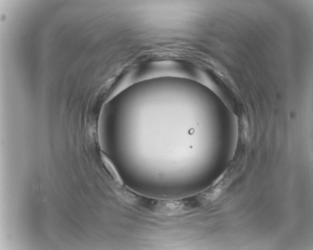 X0000070410329200606161418