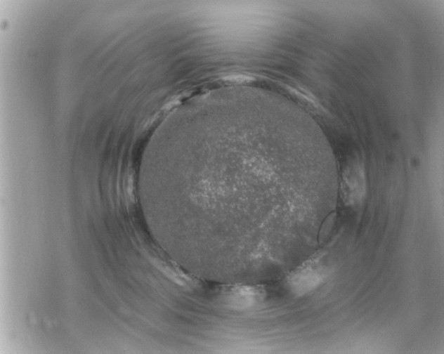 X0000070410330200606161418