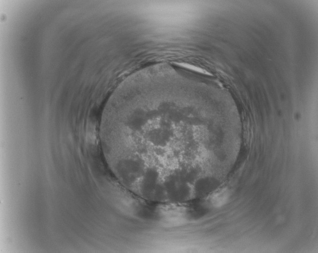 X0000070410331200606161418