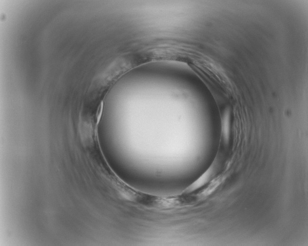 X0000070410333200606161418