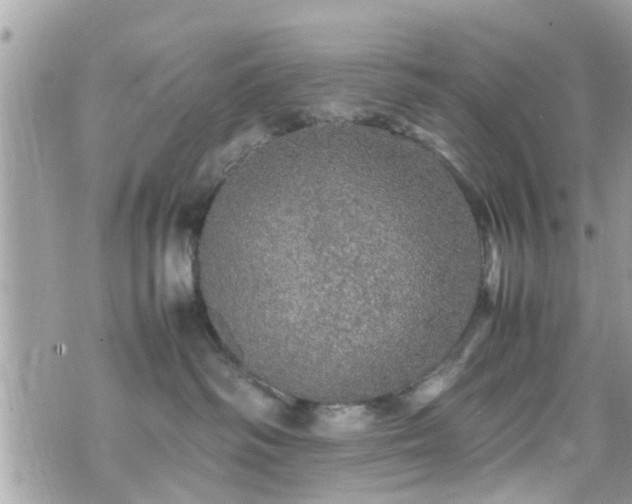 X0000070410334200606161417