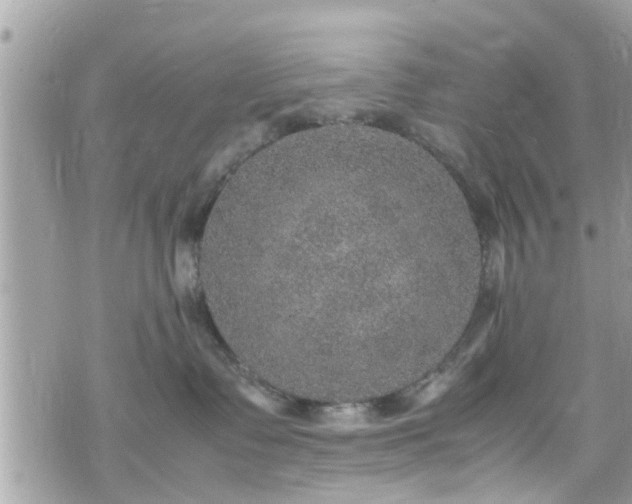 X0000070410335200606161417