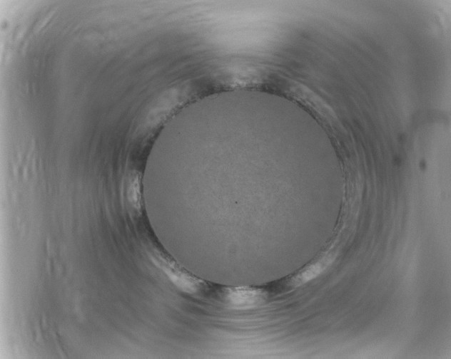 X0000070410336200606161417