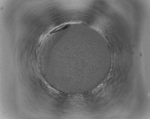 X0000070410337200606161417