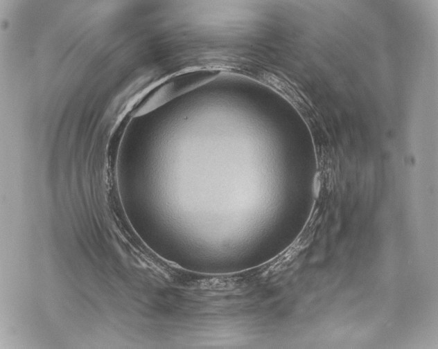 X0000070410338200606161417