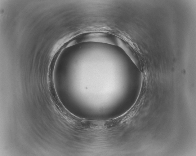 X0000070410340200606161417