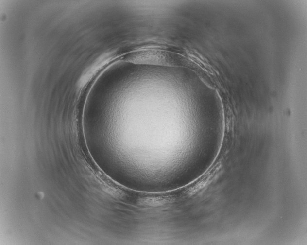 X0000070410341200606161417