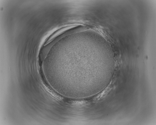 X0000070410342200606161417