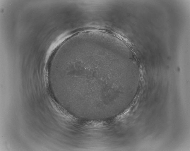 X0000070410343200606161417