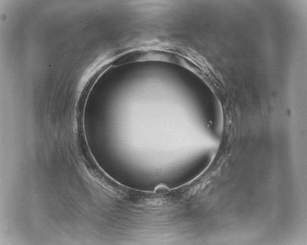 X0000070410344200606161417