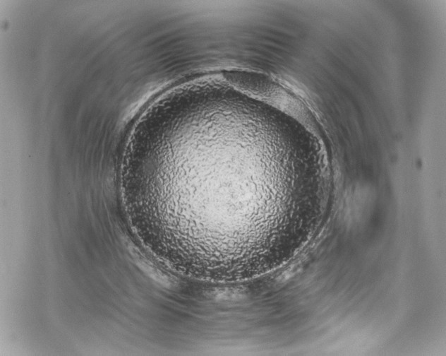 X0000070410345200606161417