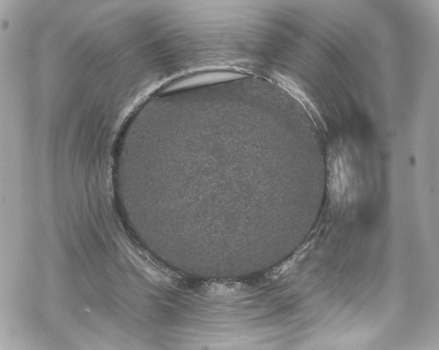 X0000070410346200606161417