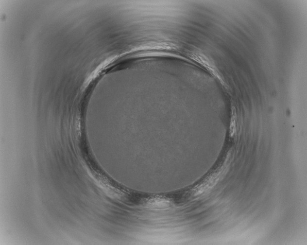 X0000070410348200606161417