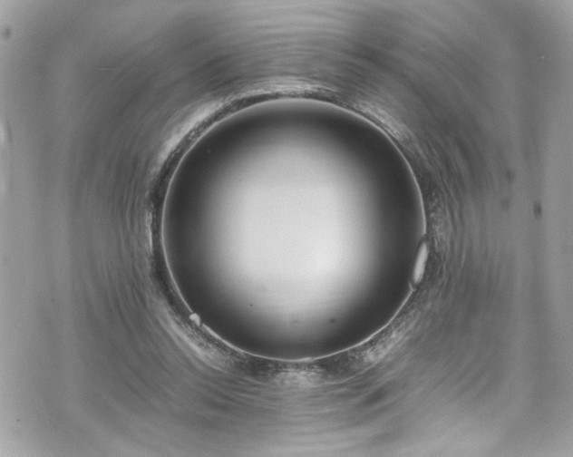 X0000070410350200606161417