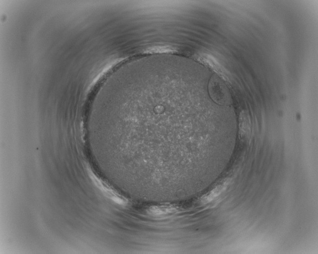 X0000070410351200606161417