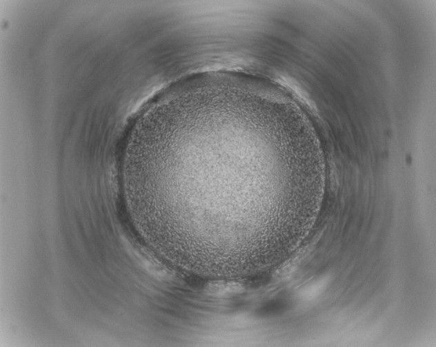 X0000070410354200606161417