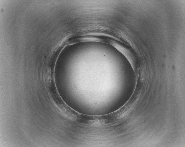 X0000070410356200606161417