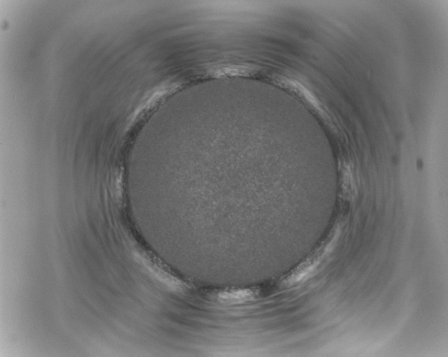 X0000070410357200606161417