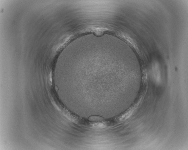 X0000070410358200606161417