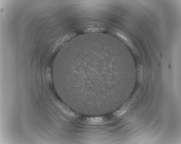 X0000070410361200606161417