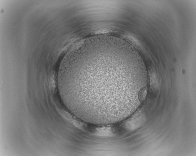 X0000070410362200606161417