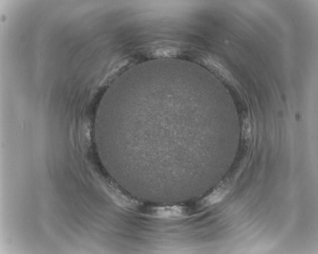 X0000070410363200606161417